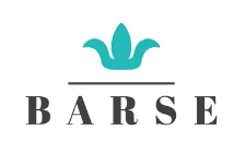 Barse Jewelry Discount Codes