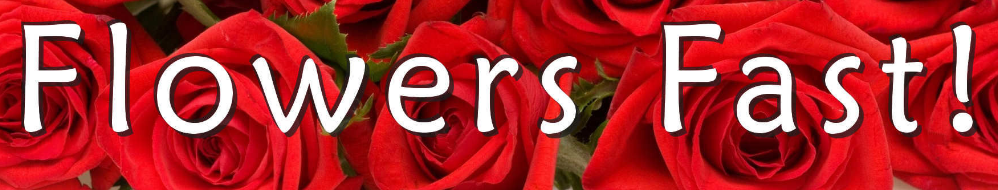 Subscribe to Flowers Fast Newsletter & Get Amazing Discounts
