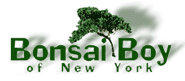 Subscribe to Bonsai Boy Newsletter & Get Amazing Discounts