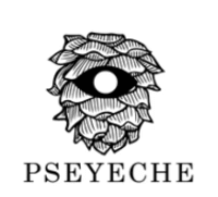 Pseyeche Discount Codes